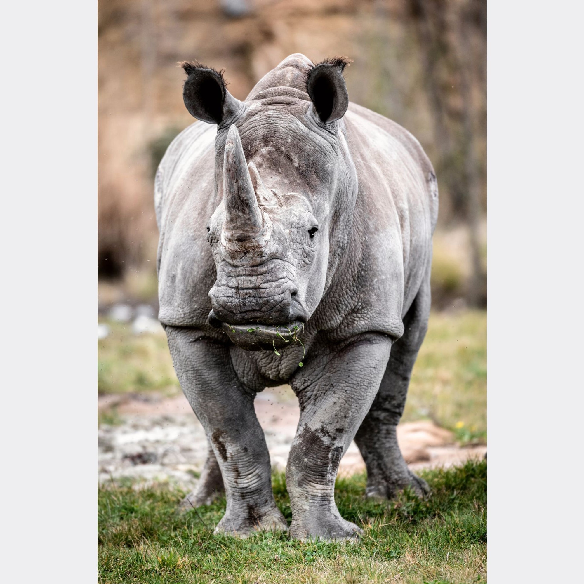 Zoo Zürich, Marco Schaffner