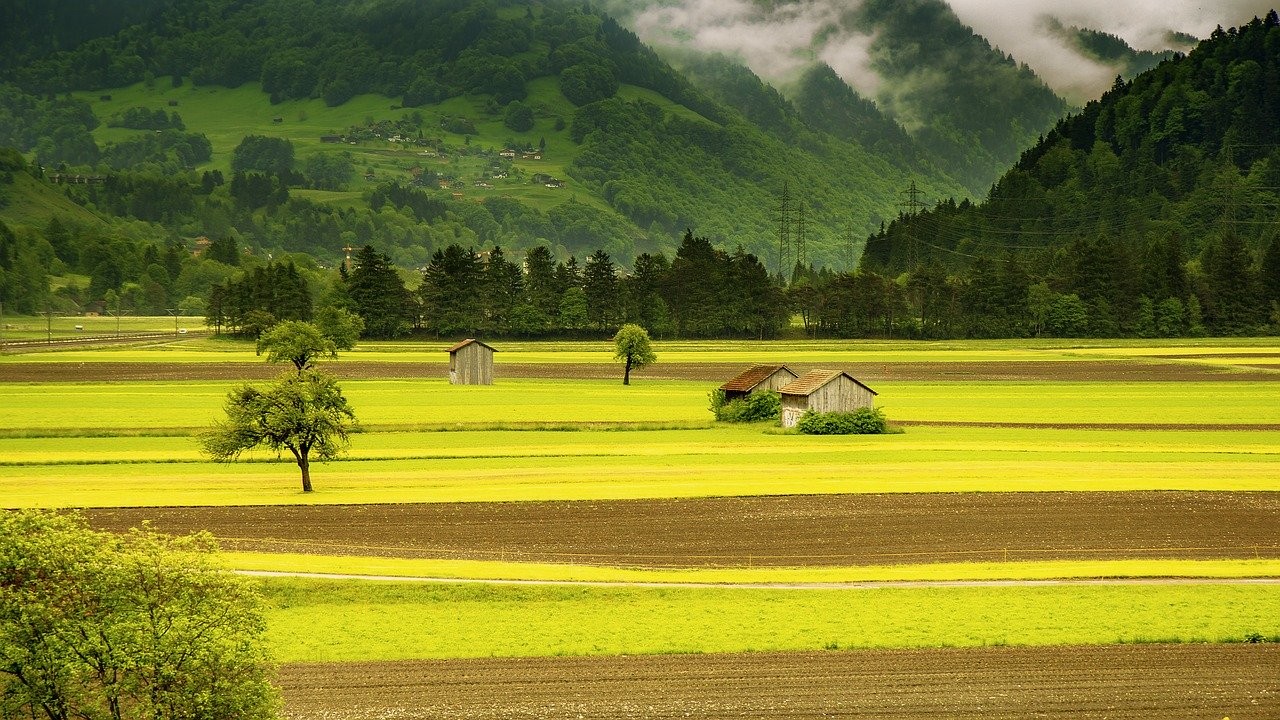 Feld in Graubünden