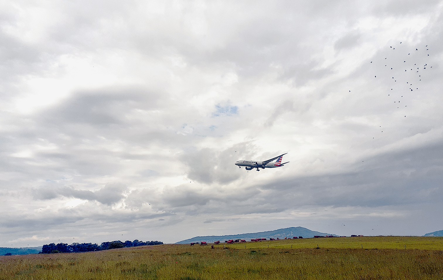 Landeanflug zum Flughafen Zürich-Kloten