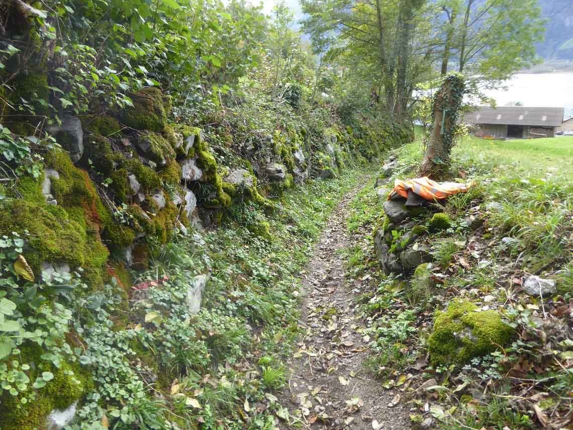 Weg Langmatt-Ruozig vor der Sanierung.