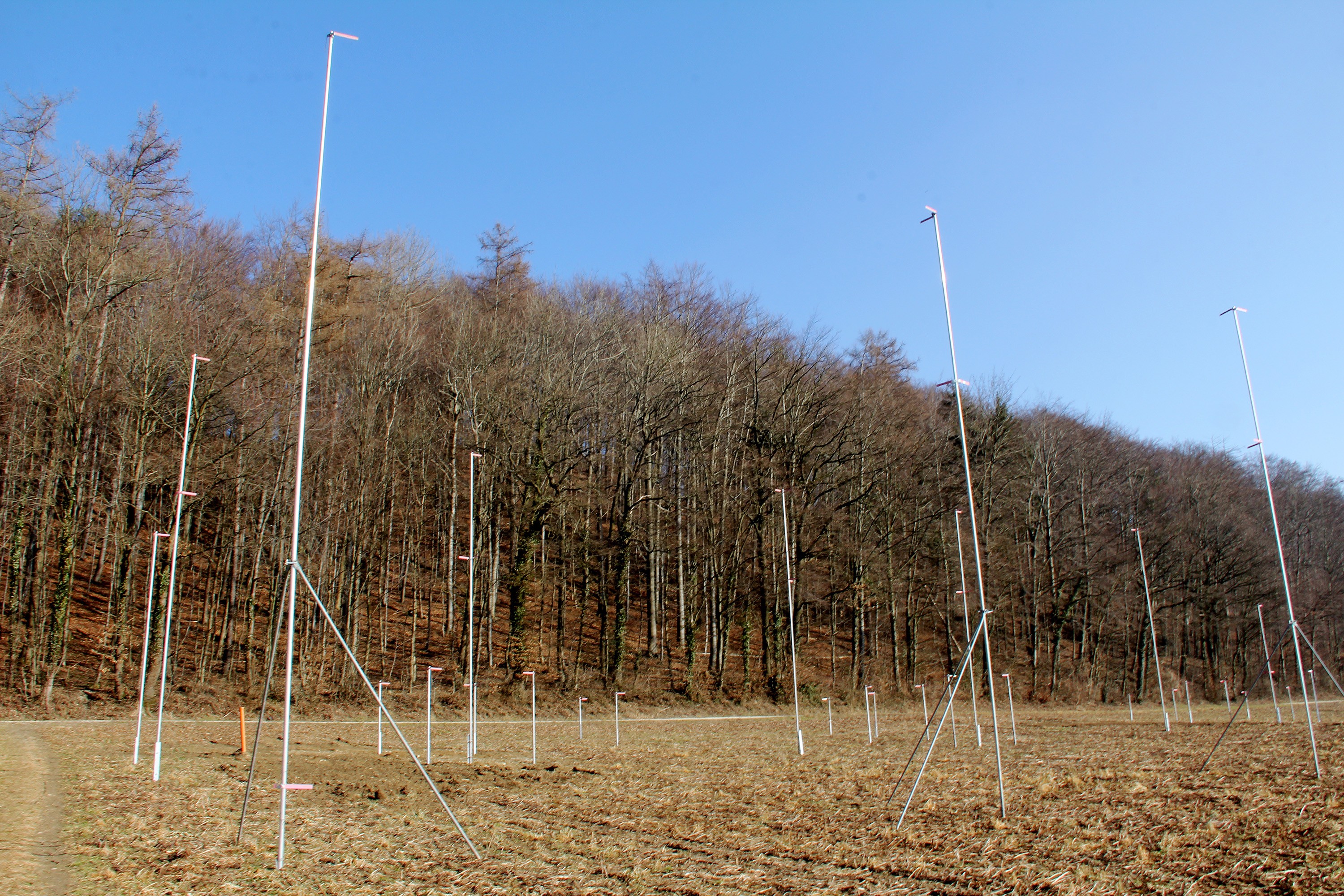 Baugespann auf einer Wiese