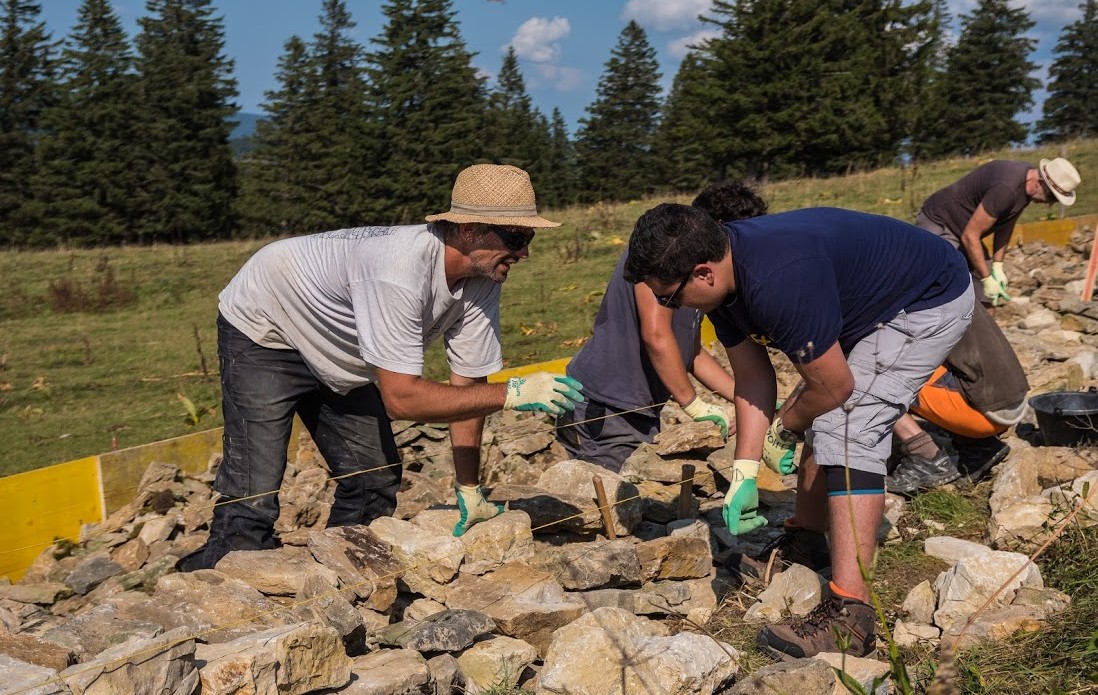 Freiwilligen-Einsatz von Naturkultur