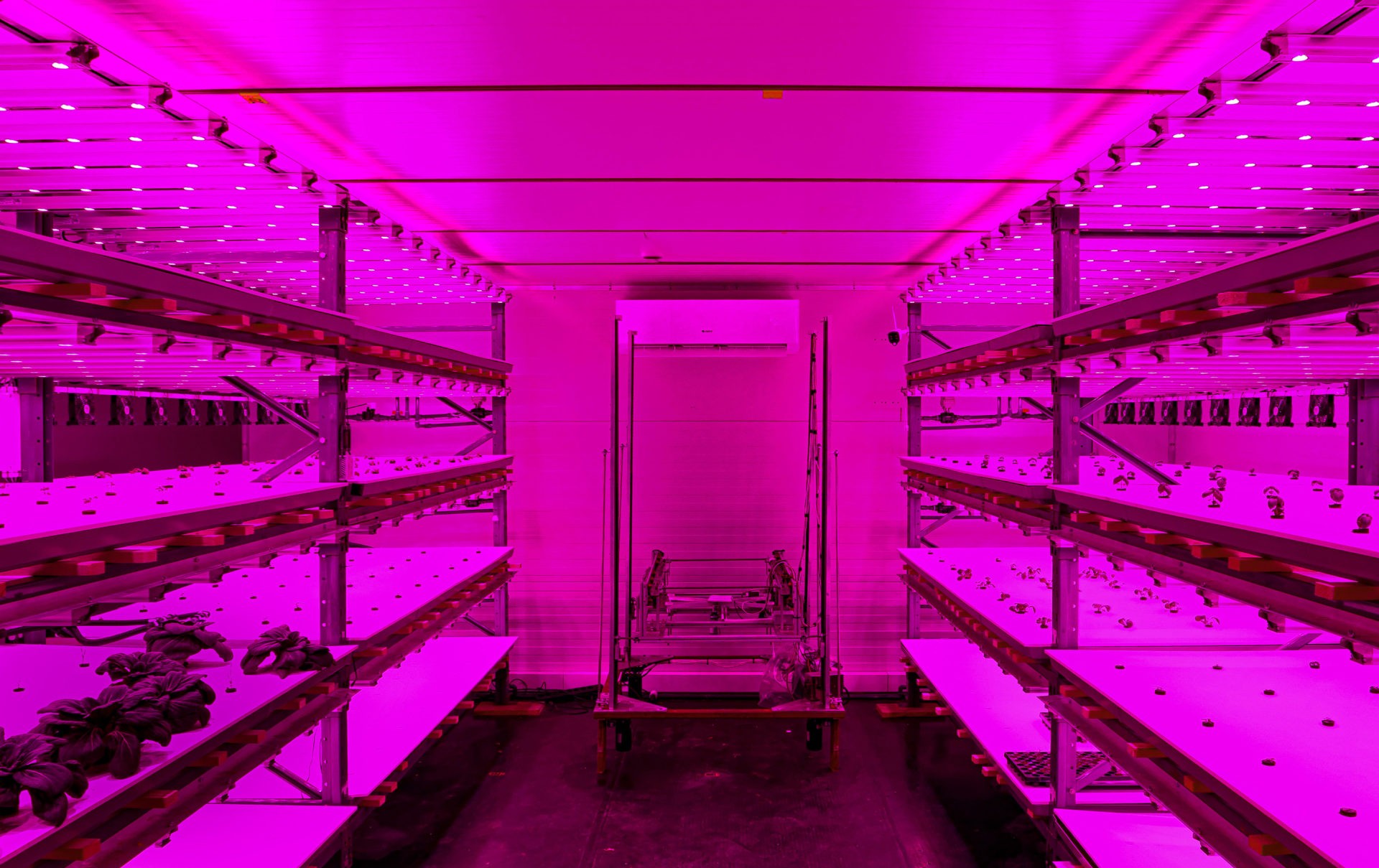 Vertical Farm von Growcer im Smart City Lab Basel