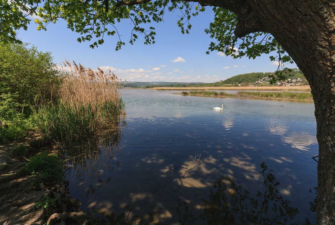 2020_klingnauerstausee