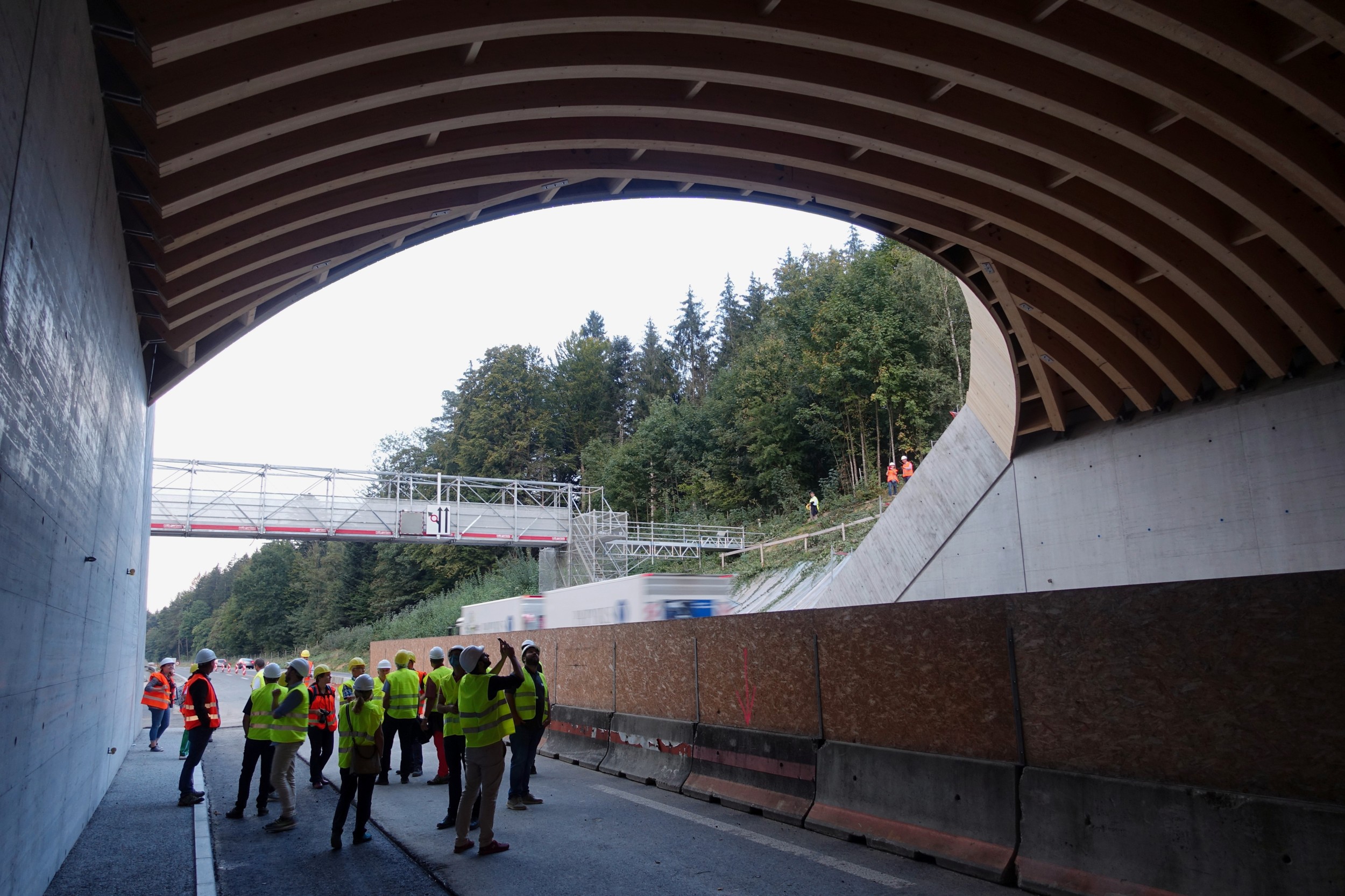 Erste hölzerne Wildttierbrücke der Schweiz bei Suhr