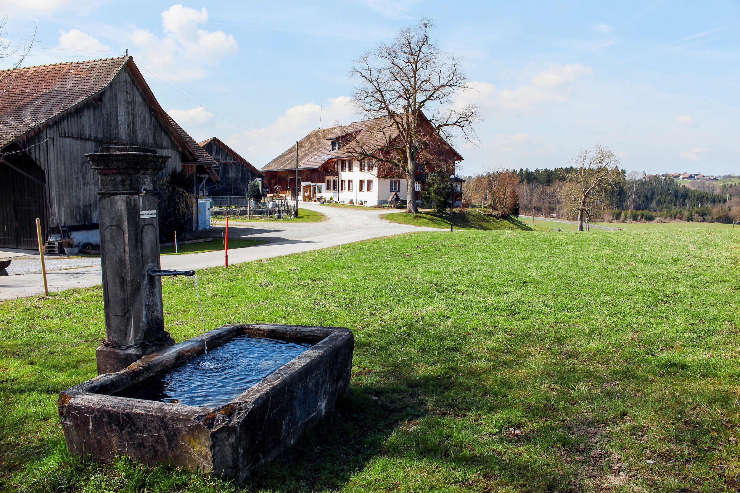 Weiler Chöll in Stettfurt TG