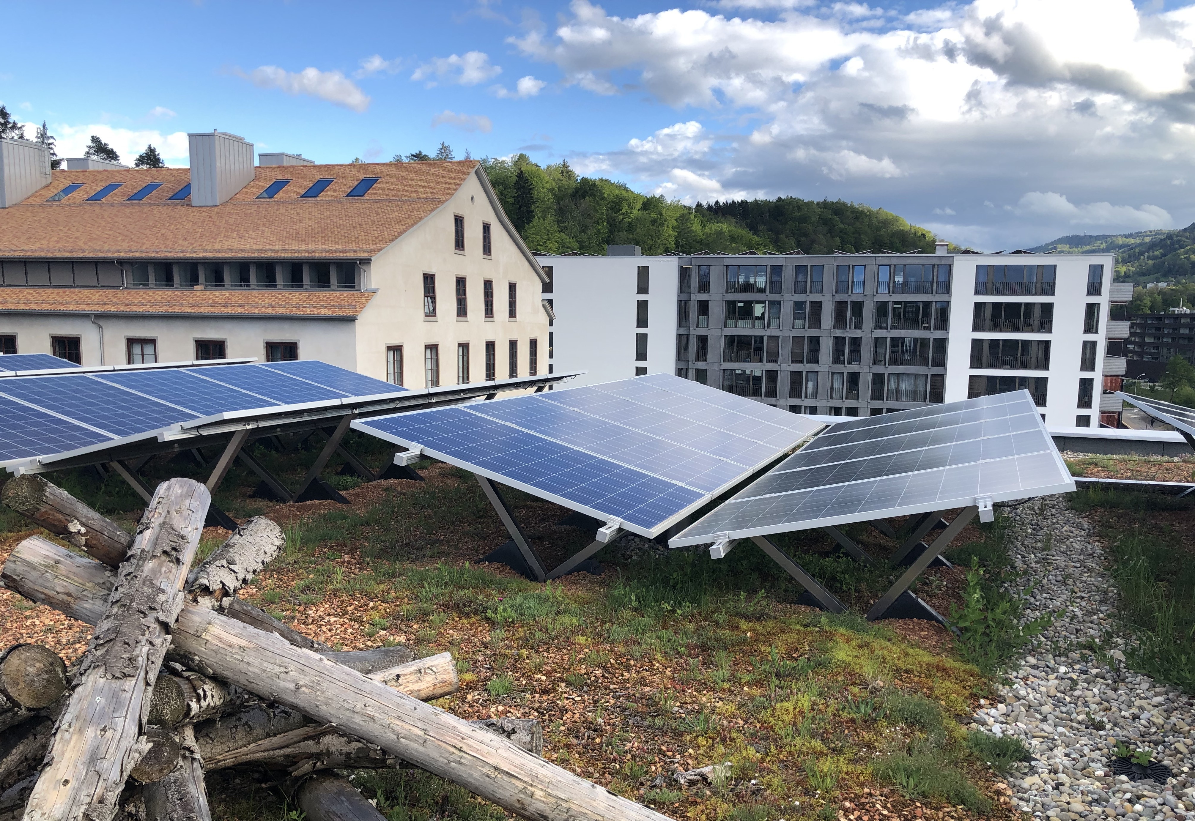 Kombination Photovoltaik-Anlage mit Dachbegrünung Greencity Zürich