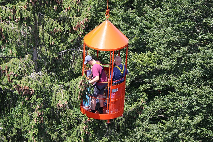Hölstein 6