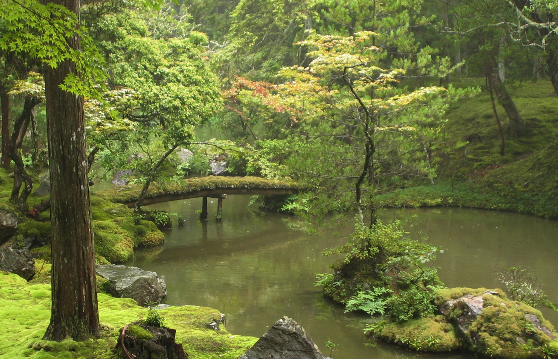 Moosgarten beim Saihō-ji-Tempel