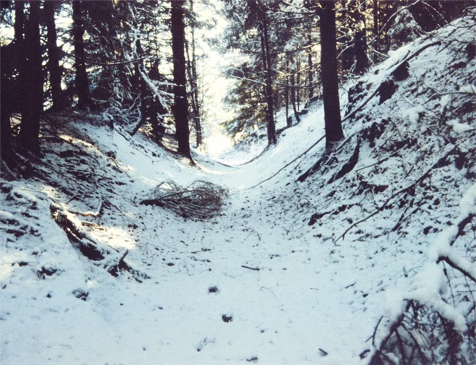 Römerweg im Winter