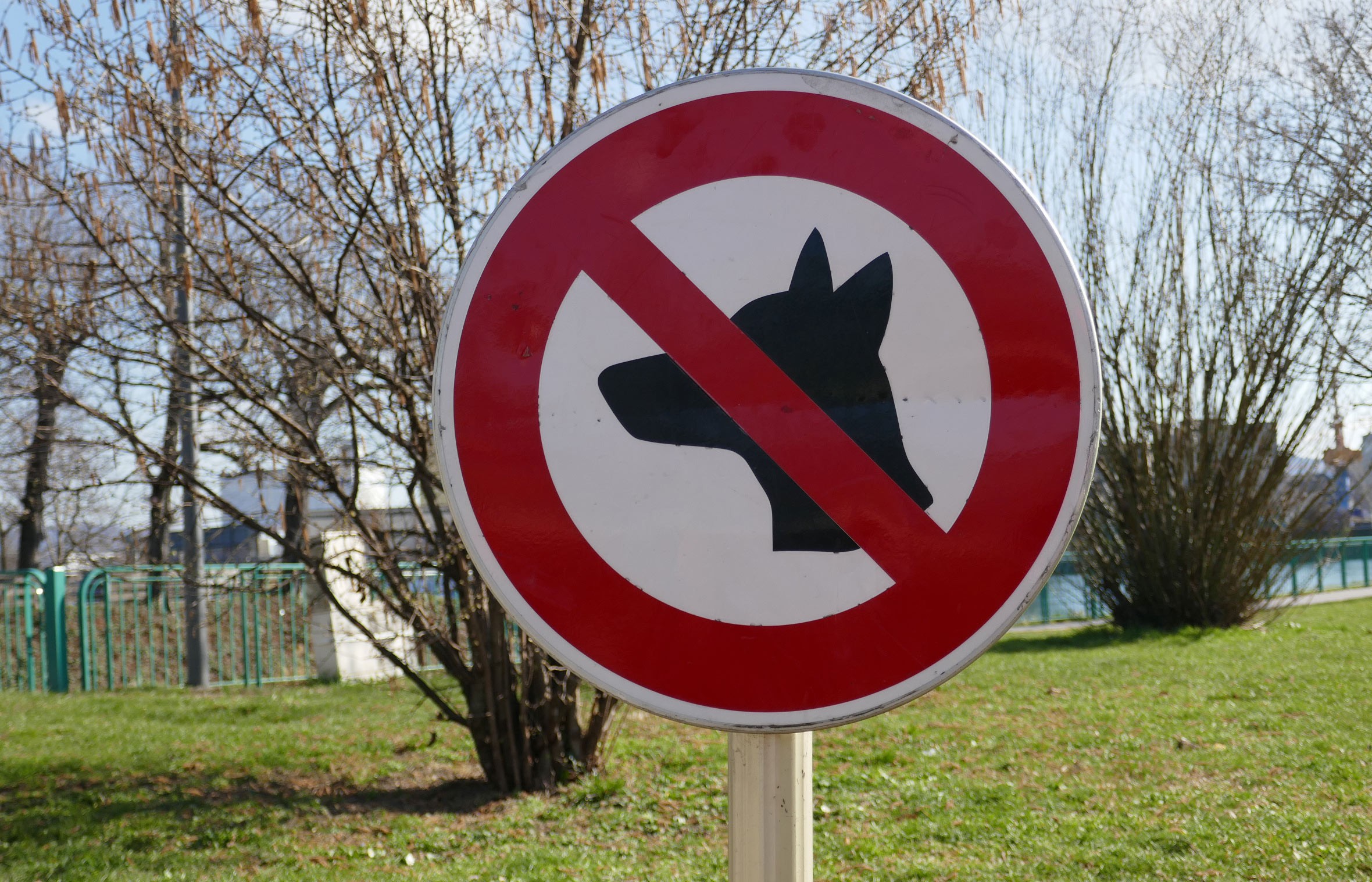 Tafel "Hunde verboten"