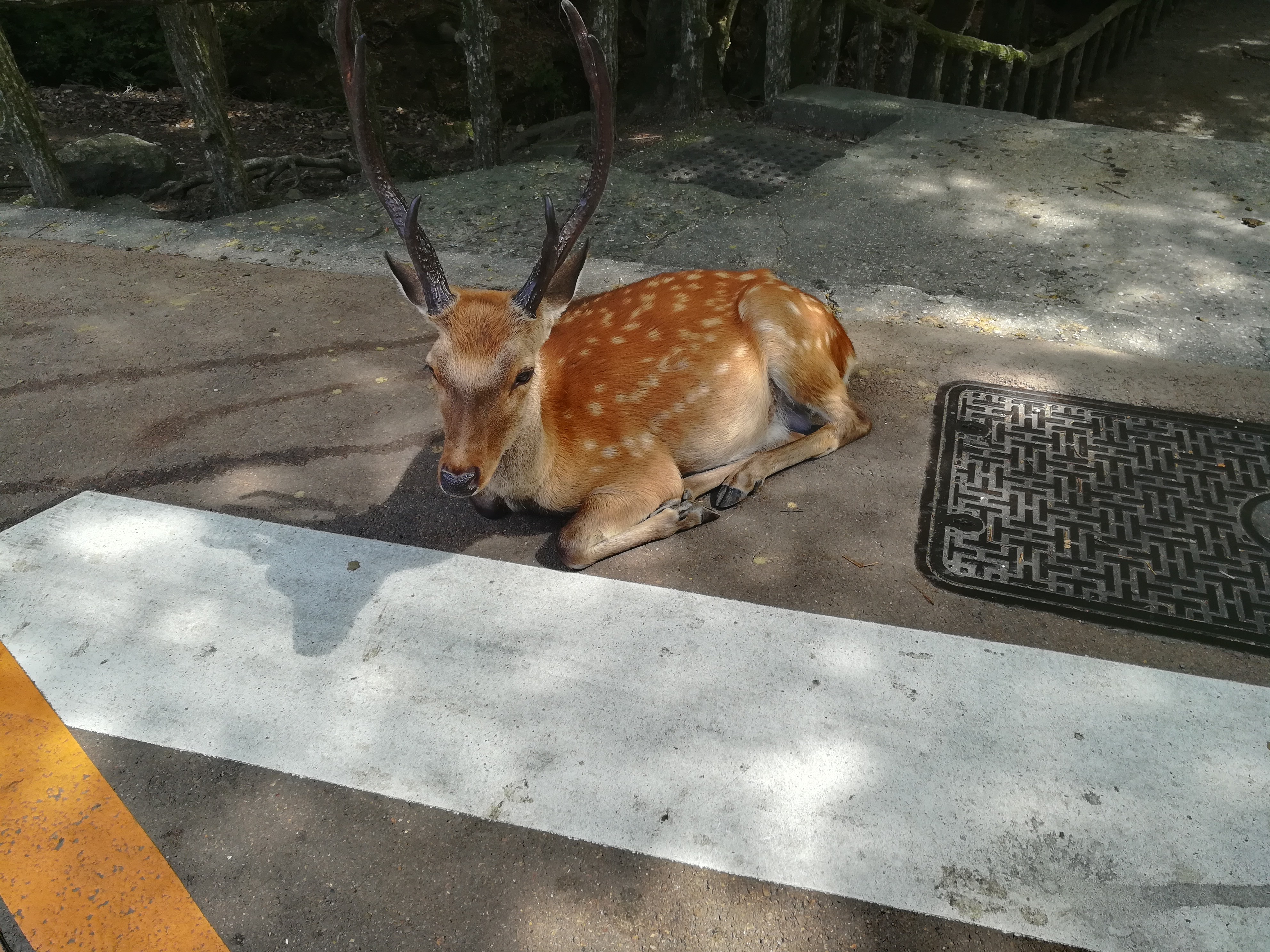 Baustellentafeln in Japan