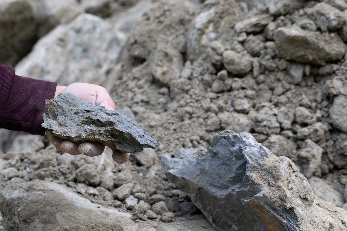 Fossiliensuche auf RBS-Baustelle in Bern