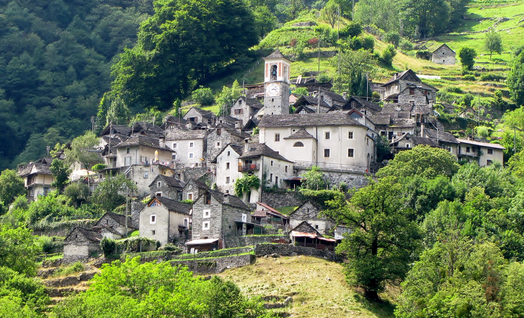 Corippo