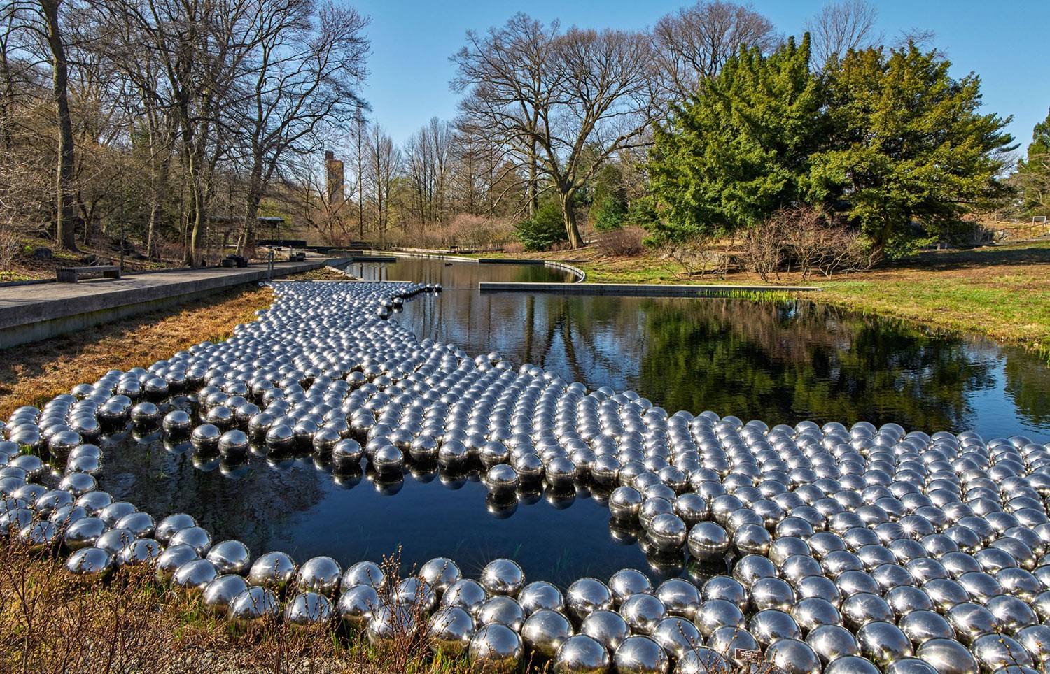 Narcissus Garden, 1966/2021