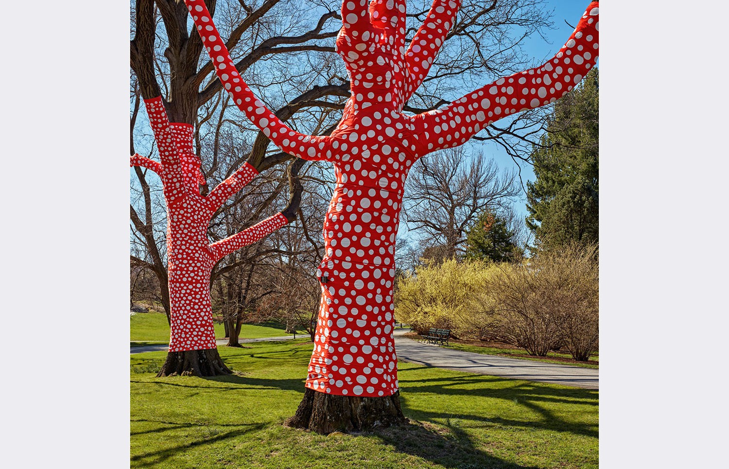 Ascension of Polka Dots on the Trees, 2002/2021