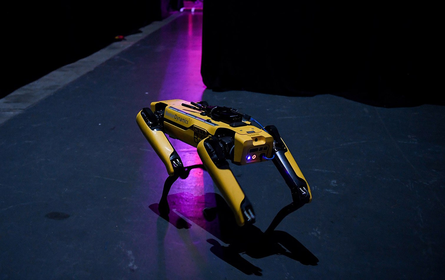 Spot-Roboter von Boston Dynamics