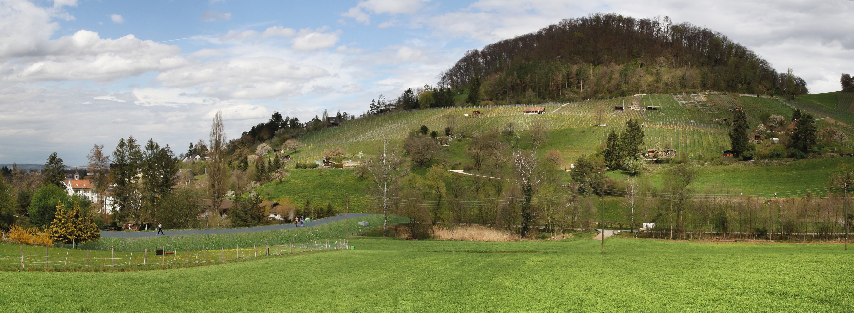 Weiermatt in Muttenz