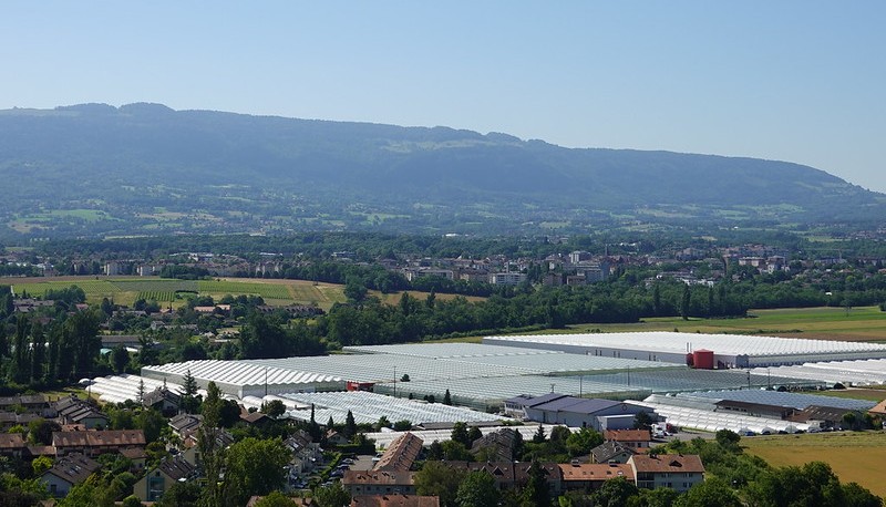 Blick auf die Gemeinde Bernex GE