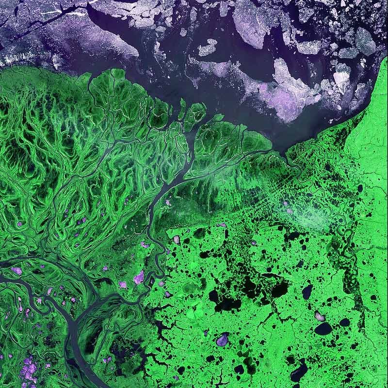 Satellitenbild des Yukon-Delta von 2002