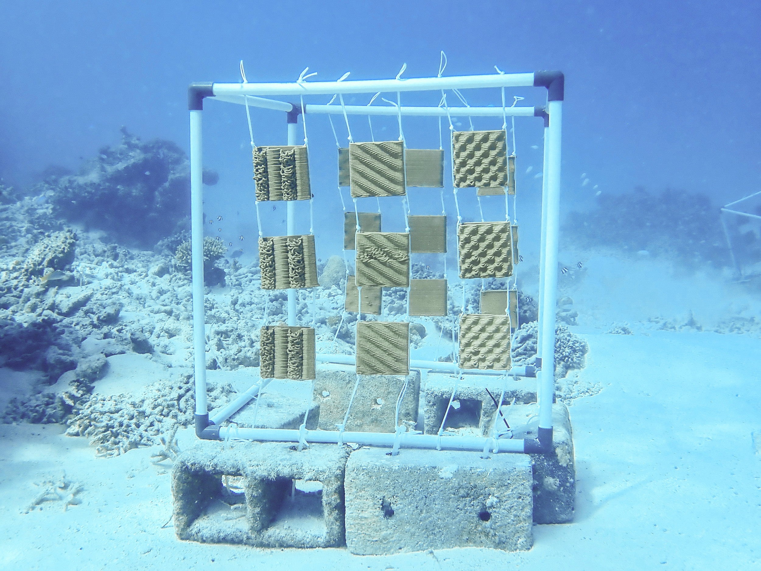Testinstallation Malediven Korallen-Häuser