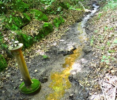 Schadstoffe im Roemislochbach