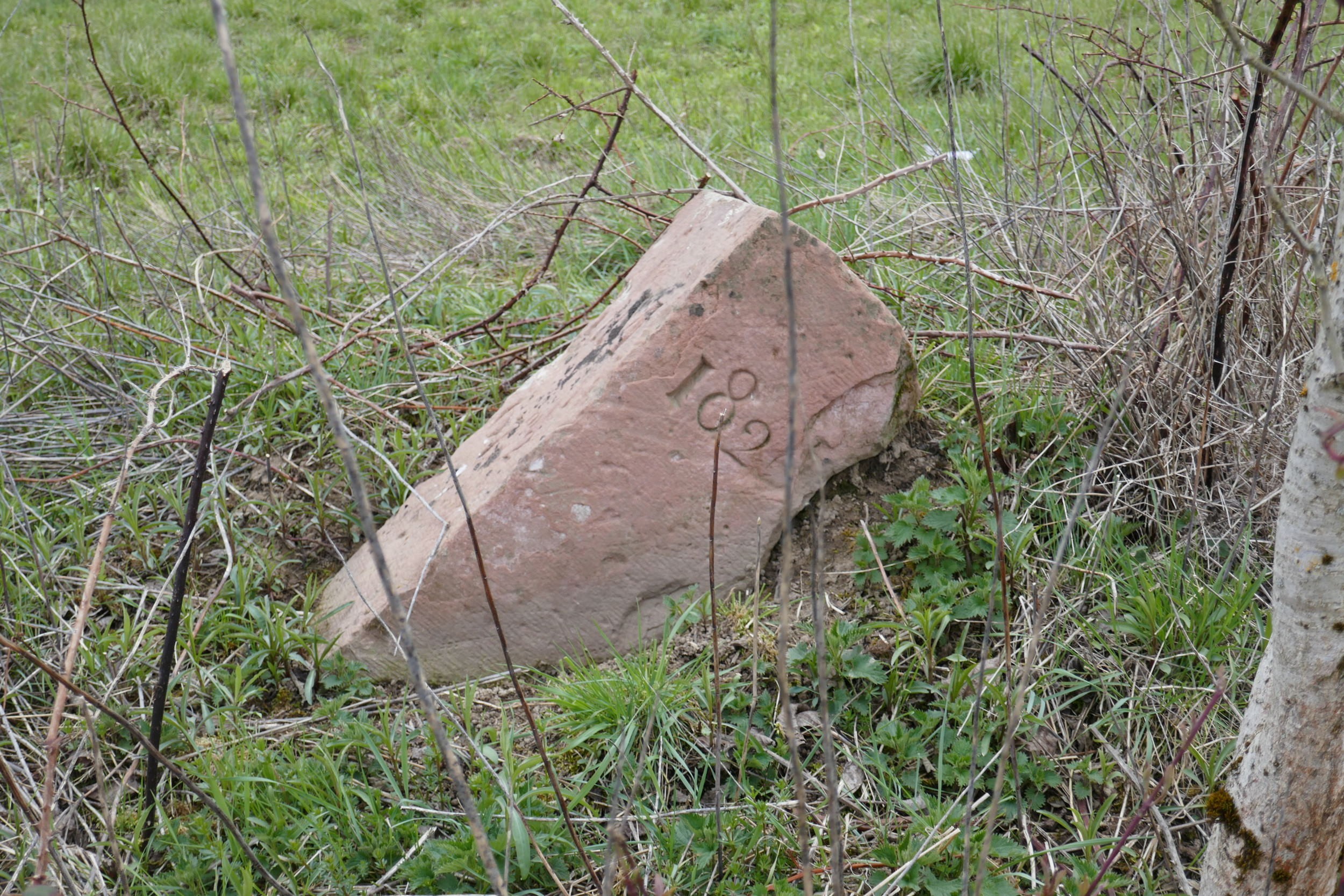 Rheinmarke umgestürzt