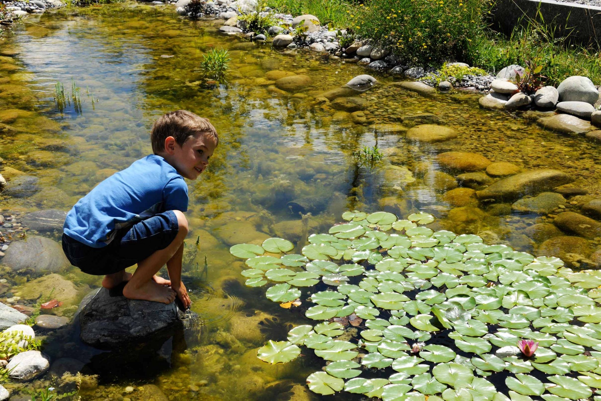 Kind an einem Teich