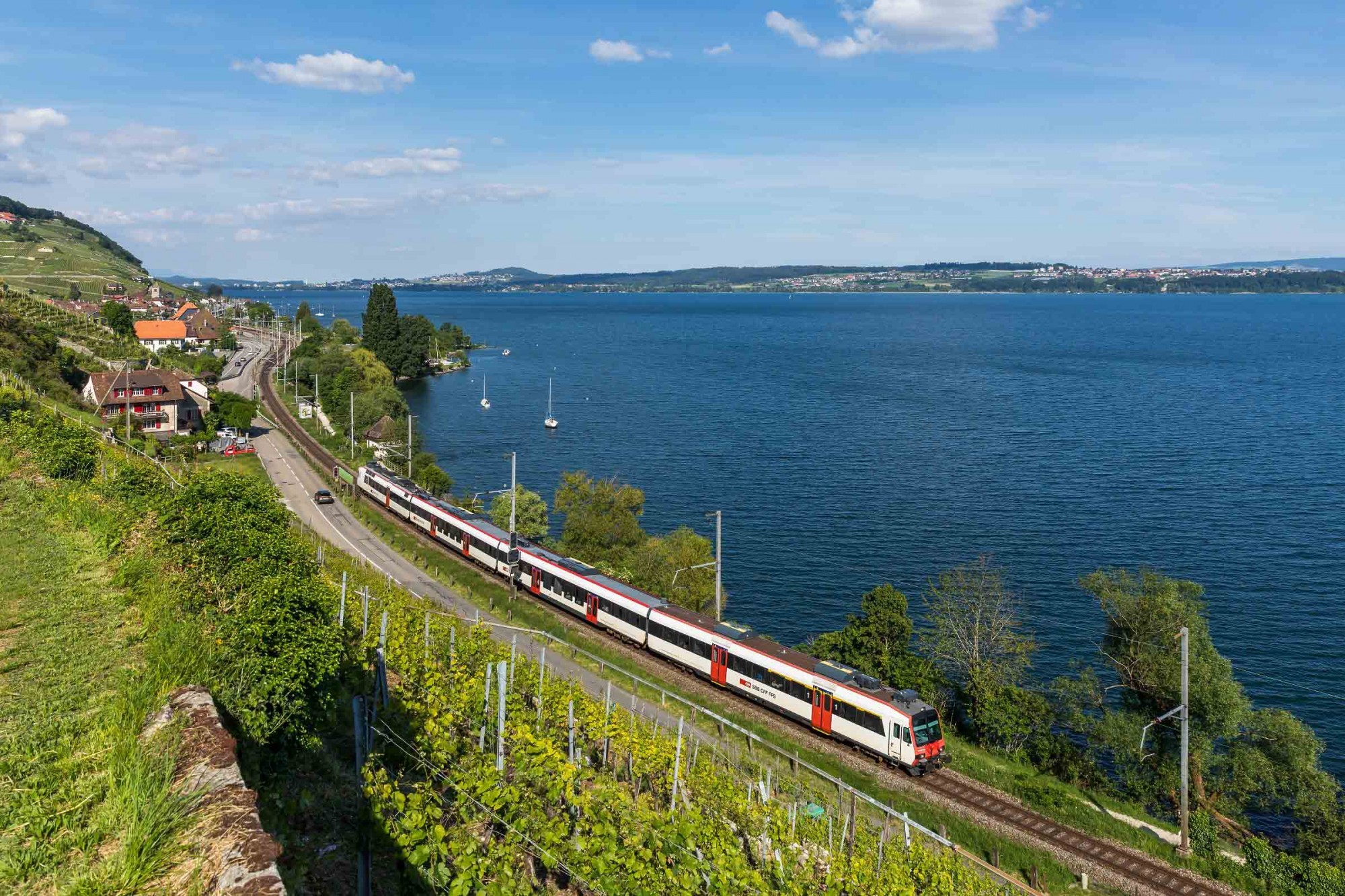 Zug zwischen Twann und Ligerz am Bielersee