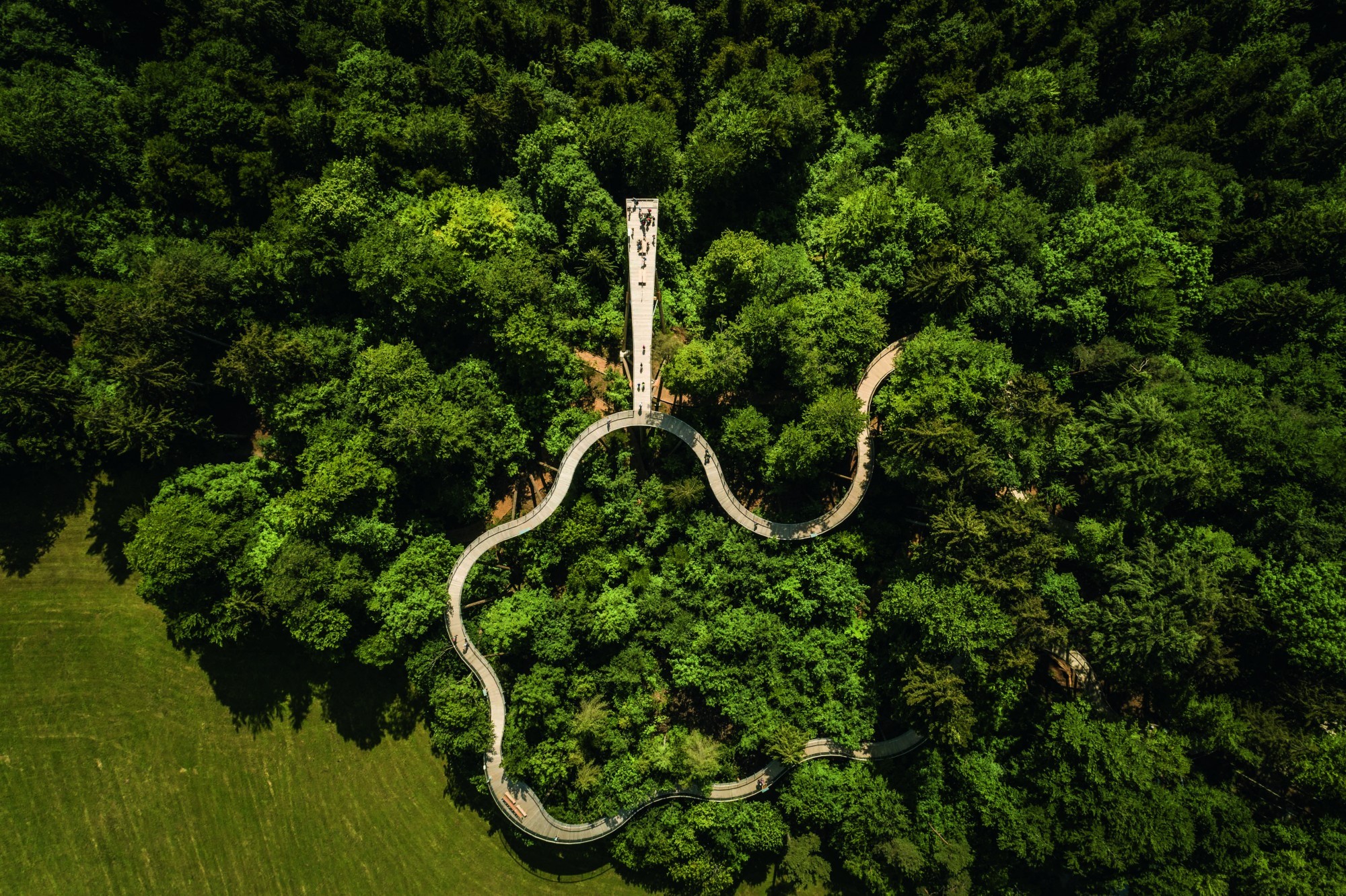 Baumwipfelpfad in Mogelsberg