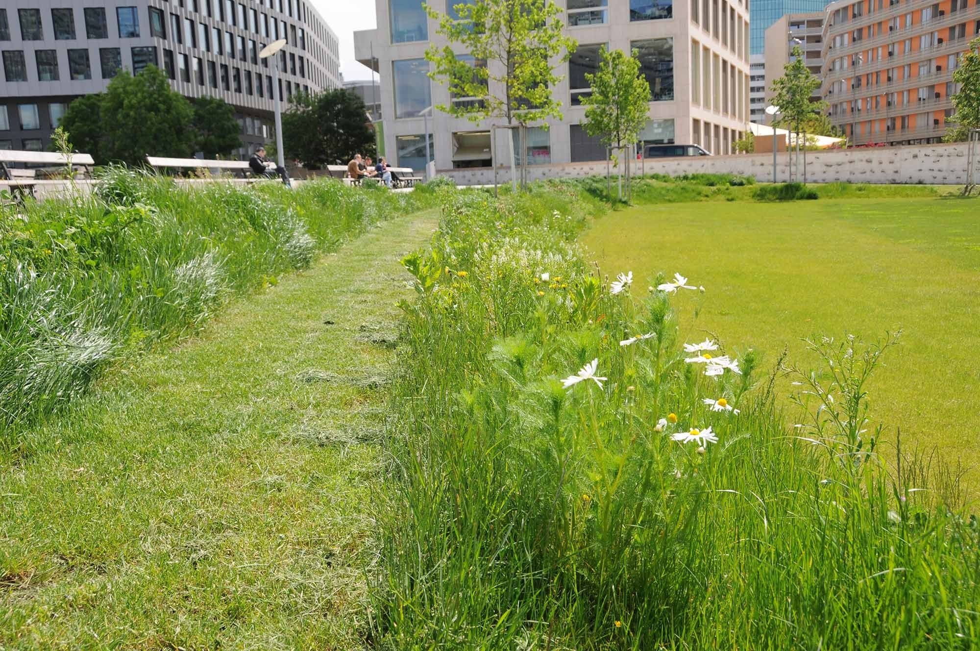 Quartierpark Pfingstweid in der Stadt Zürich