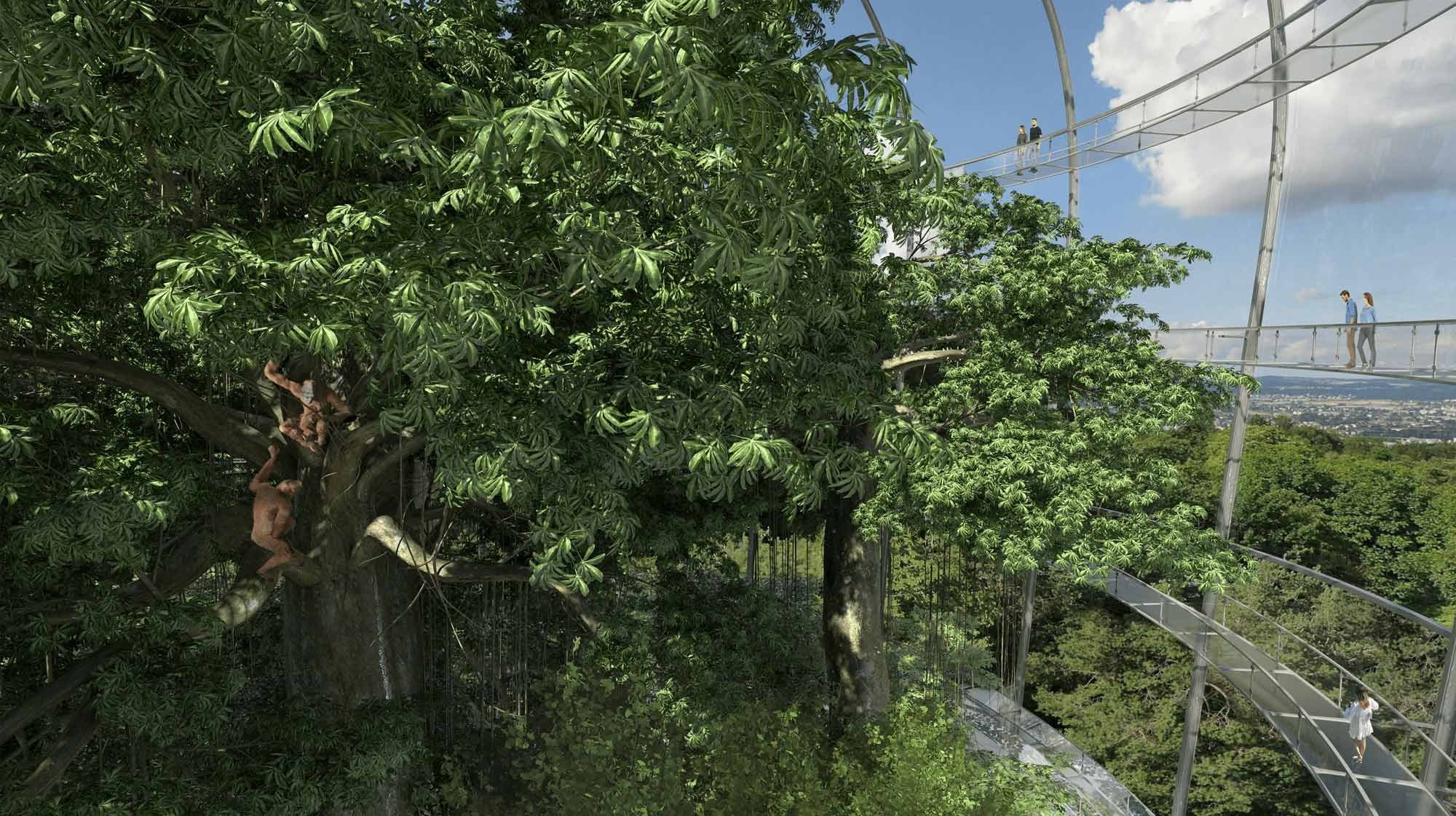 Visualisierung Projekt Sumatra Regenwald Zoo Zürich