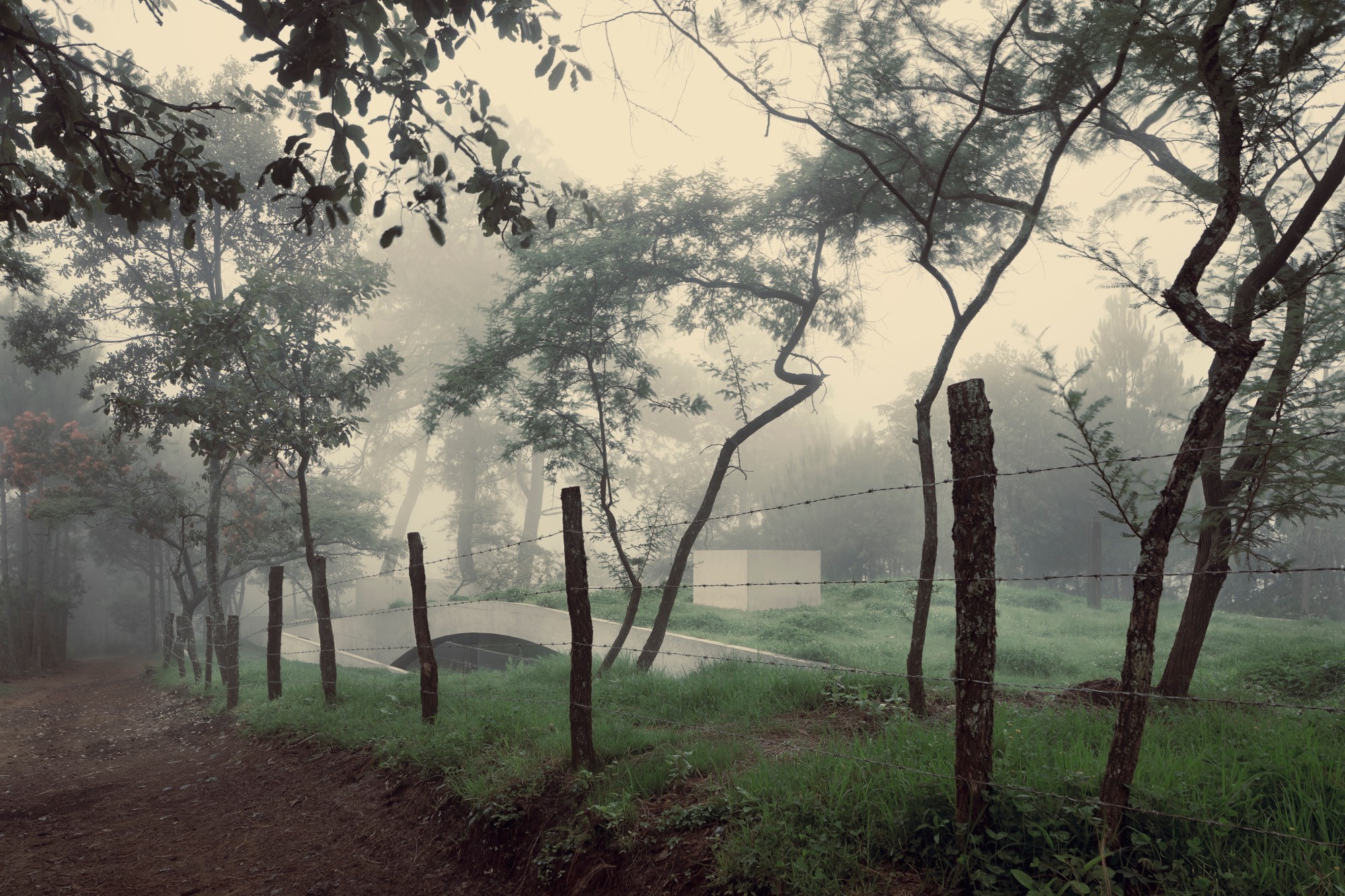 Villa en México: Escondida bajo el Libro Verde