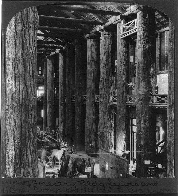 Innenraum Forestry Building um 1905