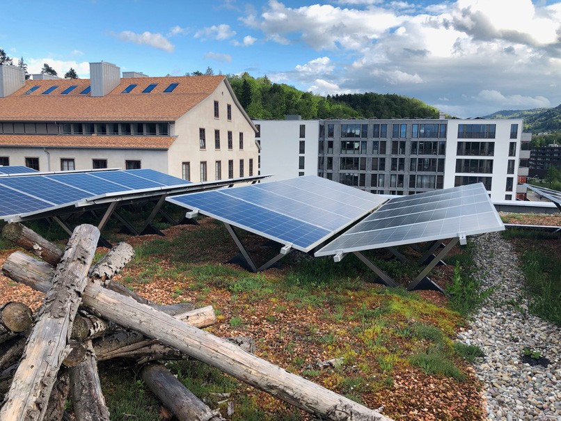 Dachbegrünung mit Solaranlage