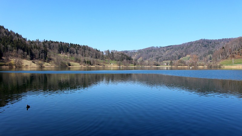 Türlersee bei Aeugst am Albis