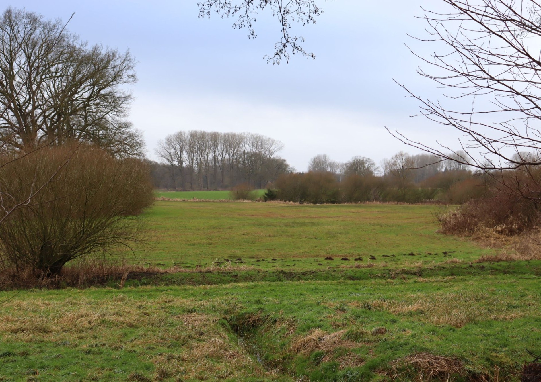 Standort der Schwanenburg im Münsterland