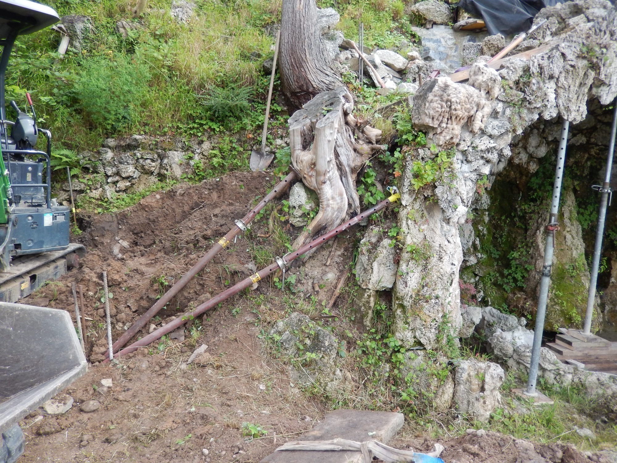 Schloss Hünegg Wurzel im Gewölbe