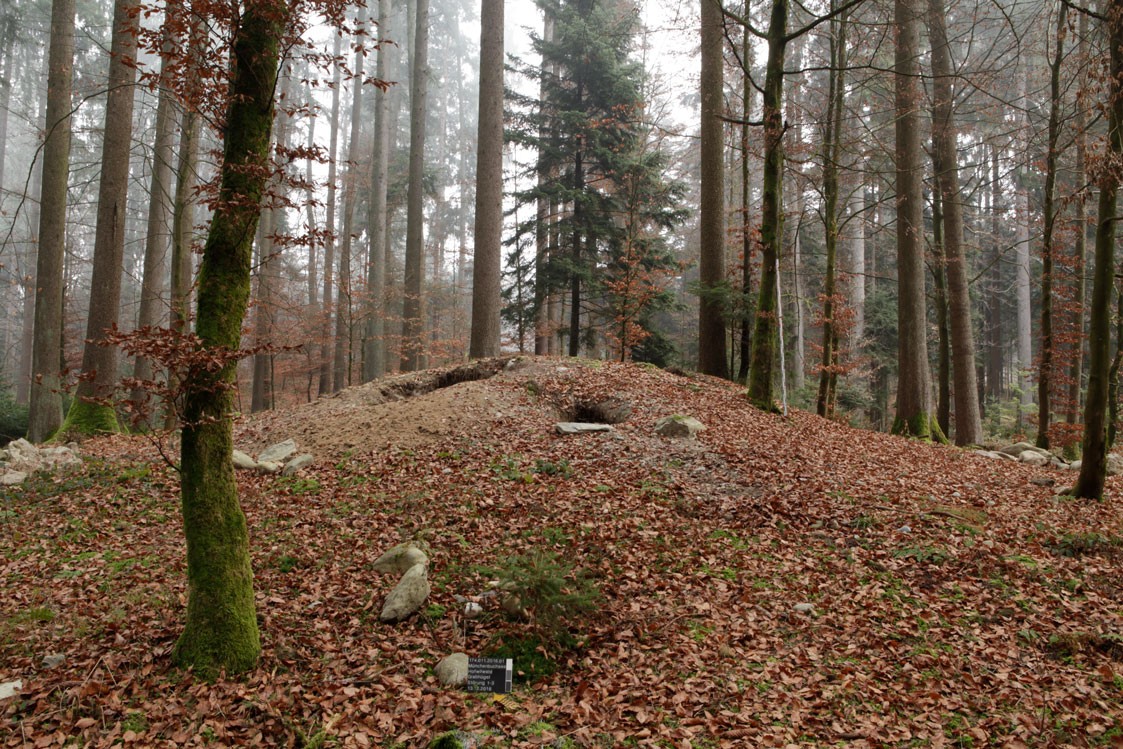 Raubgräber bei Grabhügel in Münchenbuchsee
