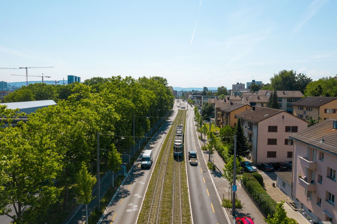 Grüngleise der Limmattalbahn