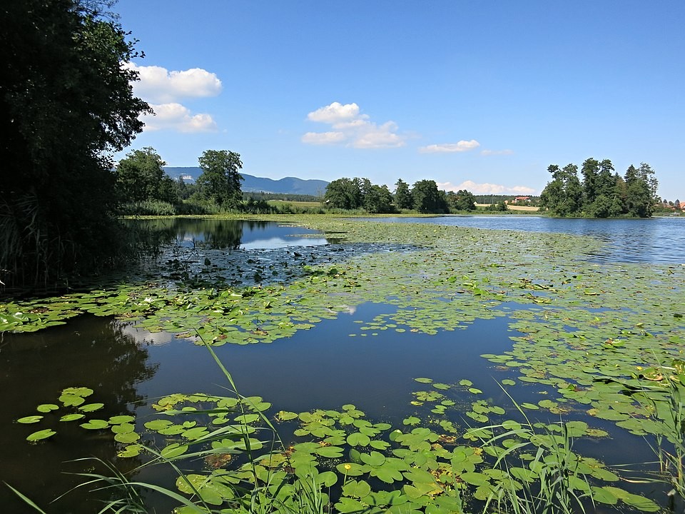 Inkwilersee im Kanton Bern