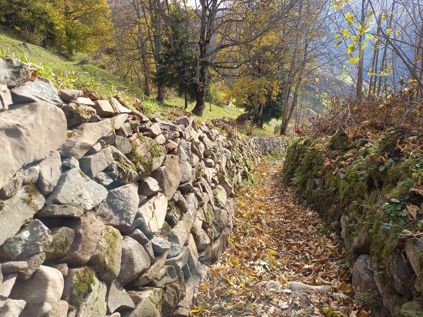 Suworowweg im Gebiet Vorderacherberg