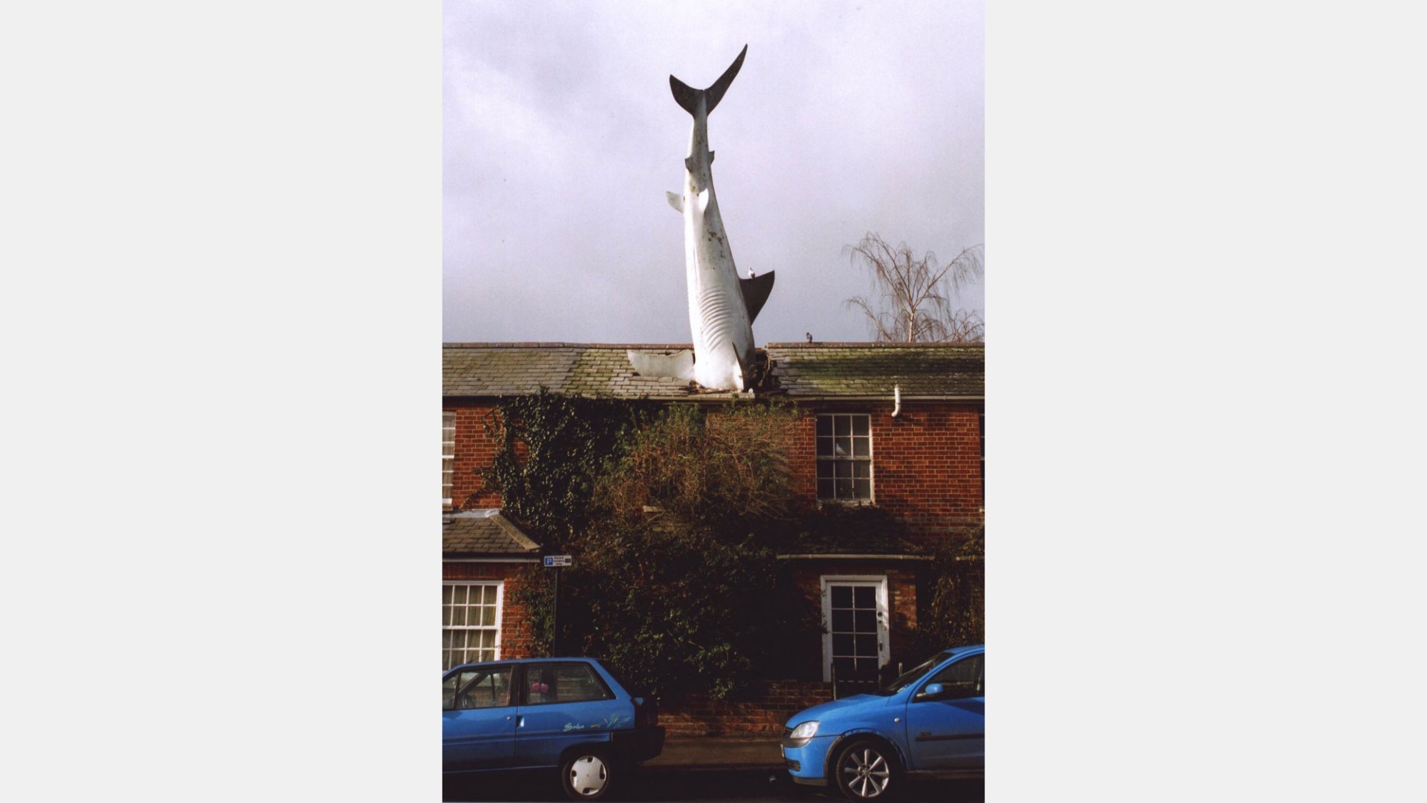 Headington Shark