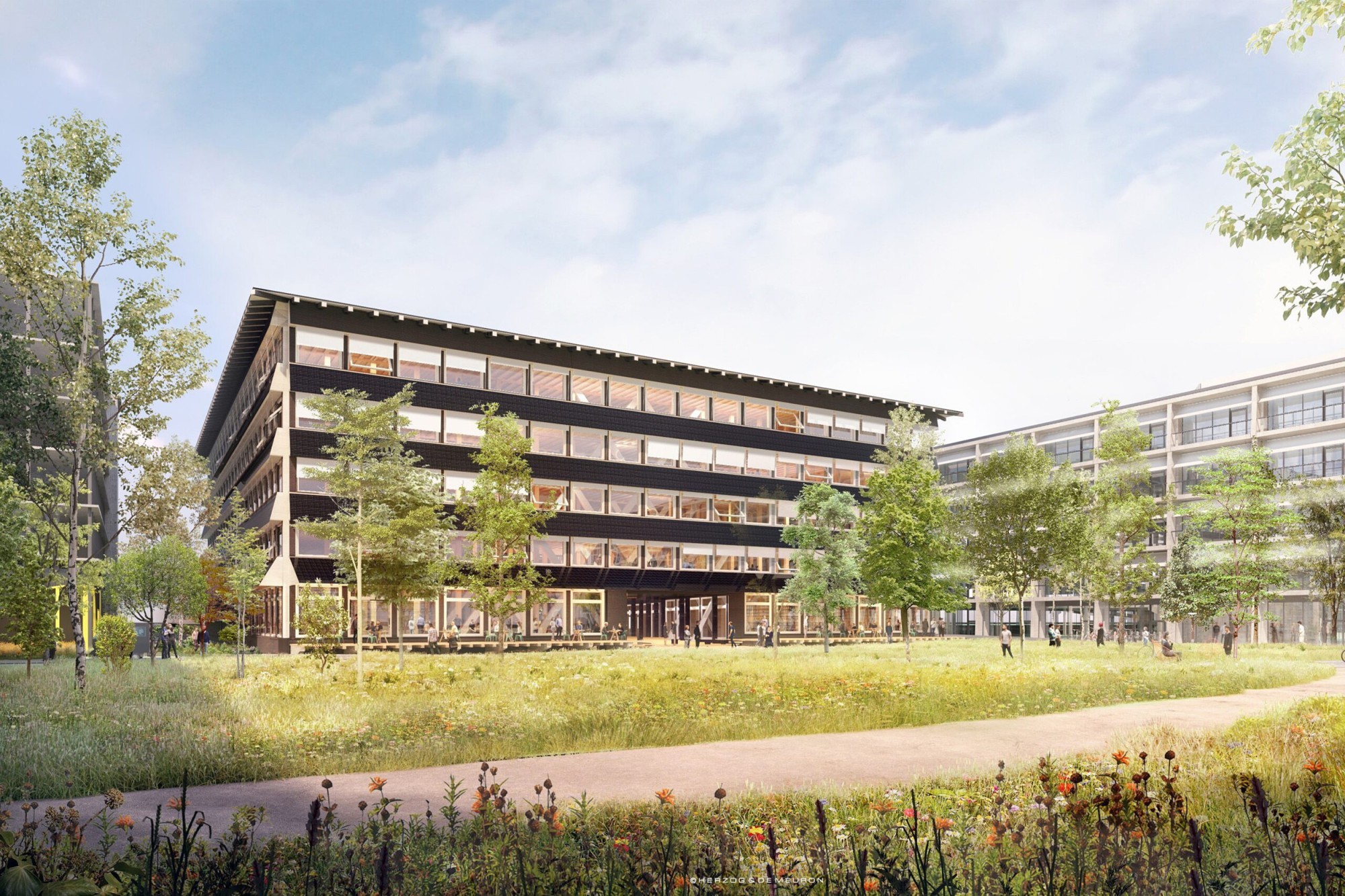 «Hortus» Allschwil Herzog & de Meuron