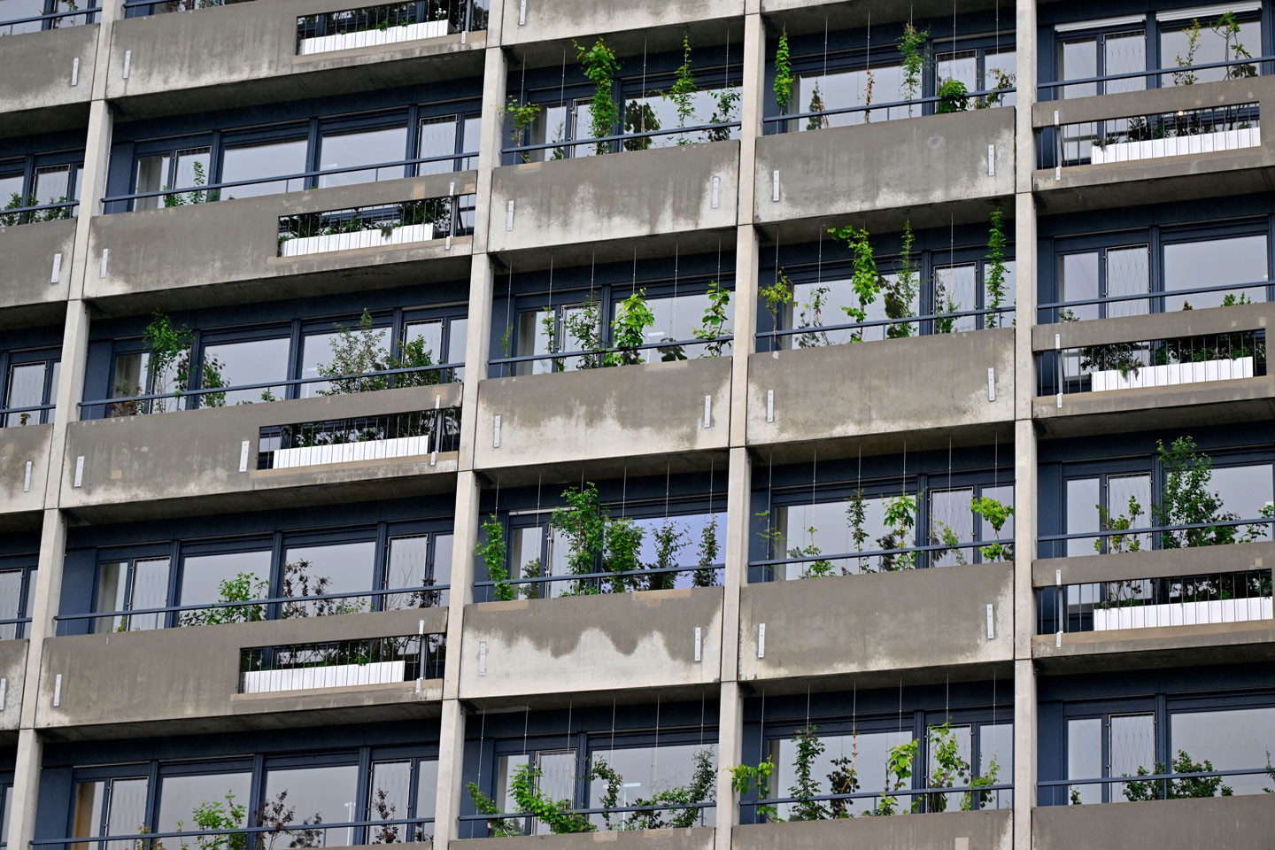 Begrünung Südfassade Stadtspital Triemli Zürich