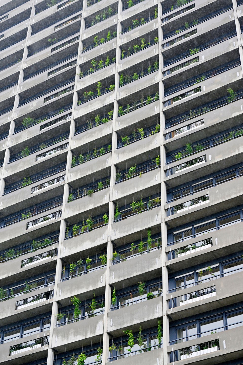 Begrünung Südfassade Stadtspital Triemli Zürich