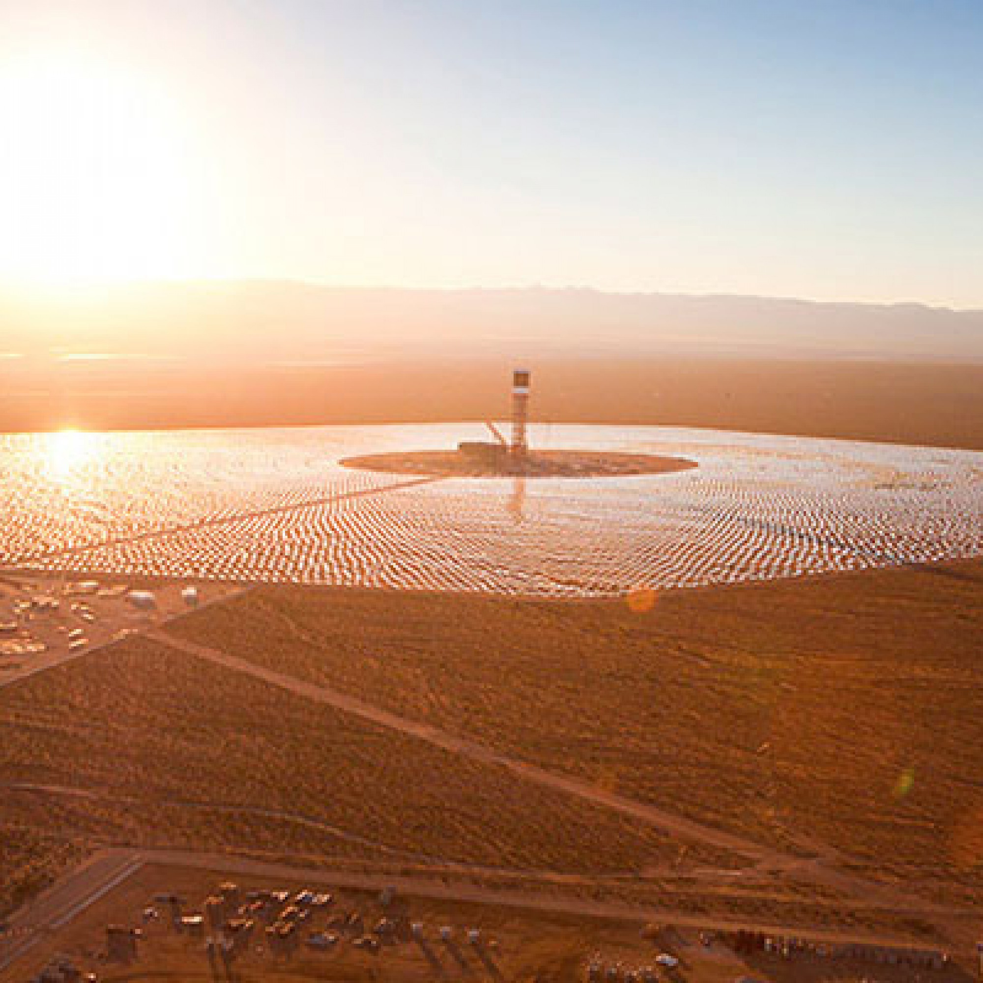 Für Vögel wirken die Heliostaten der Solarfarm Ivanpah wie ein See. Ein gefährlicher Irrtum. (Bild: zvg)