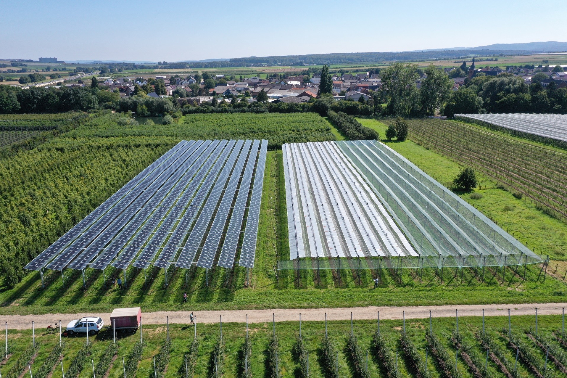 Agri-PV-Anlage bei einer Obstkultur in Gelsdorf im deutschen Rheinland