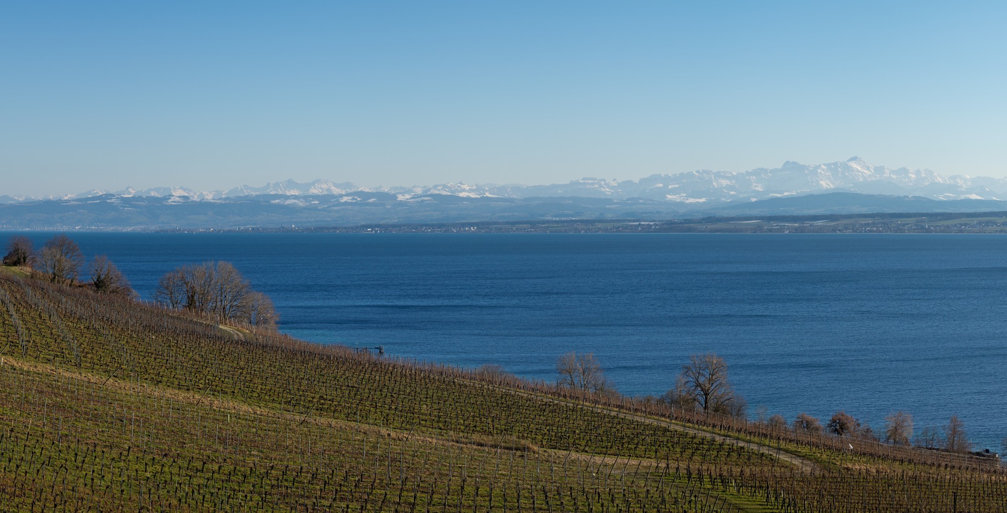 Vorfrühling_am_Bodensee