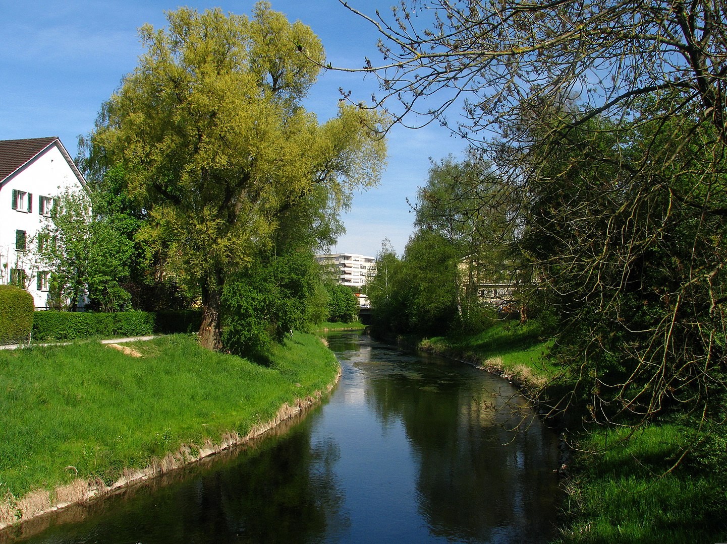 Fluss Glatt in Glattbrugg Opfikon